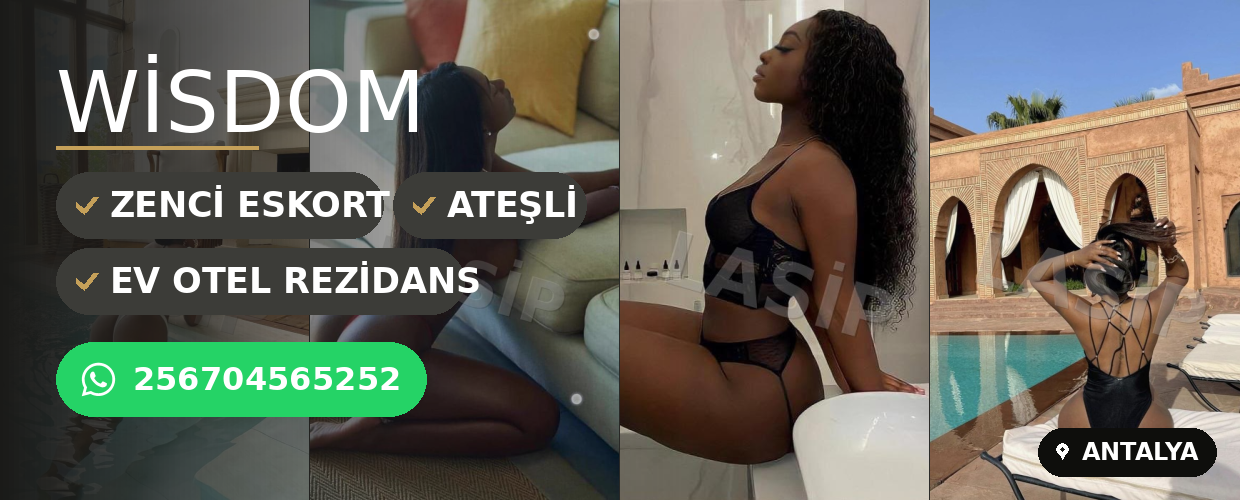 WİSDOM